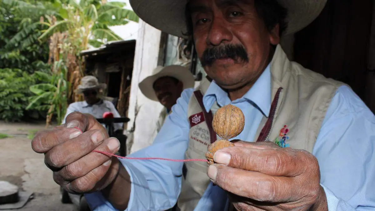 Productos para los chiles en nogada  1